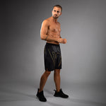 Load image into Gallery viewer, Venum Serpenti Training Shorts - Black/Silver/Gold

