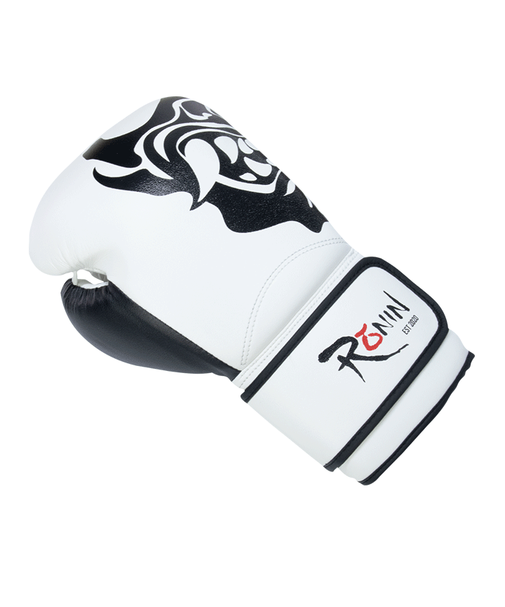 Origin 2024 boxing gloves